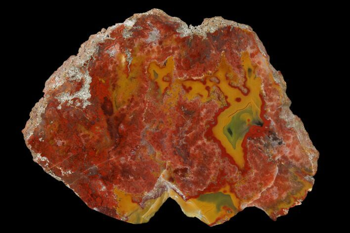 Colorful, Polished Greenhaw Agate Slab - Tennessee #150573
